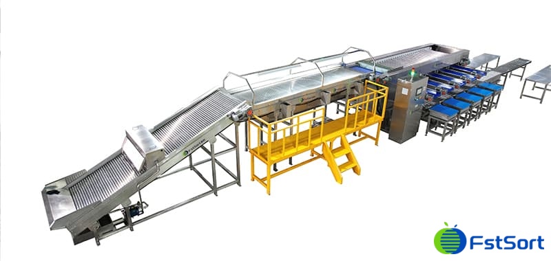 images/1689068828518cherry tomato grading machine.jpg